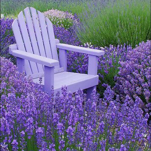 🌺 MEET POSHER 🌺 - Picture 1 of 1